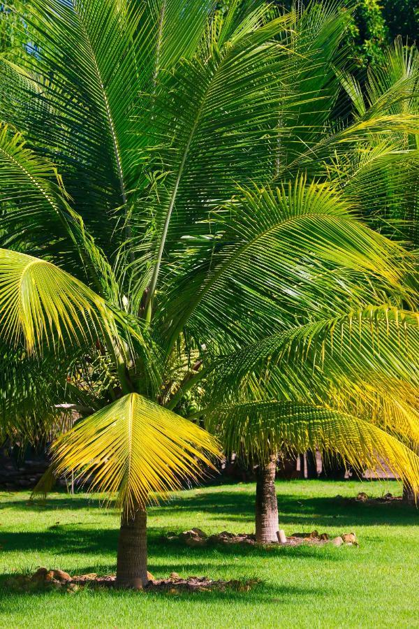 Bahay Tatu Holiday home Porto de Pedras